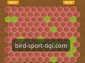 小鸟棋牌手机下载 vs 网页版：哪种方式更适合你？